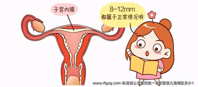 在成都公立医院做一次代孕费用是多少？