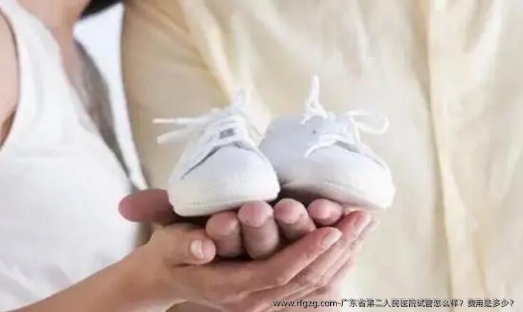 广东省第二人民医院试管怎么样?费用是多少?