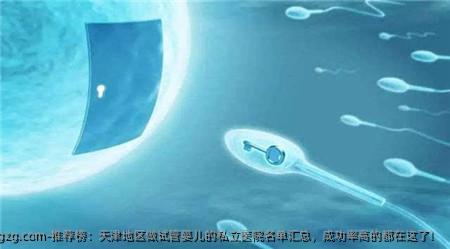 推荐榜：天津地区做代孕的私立医院名单汇总，成功率高的都在这了！