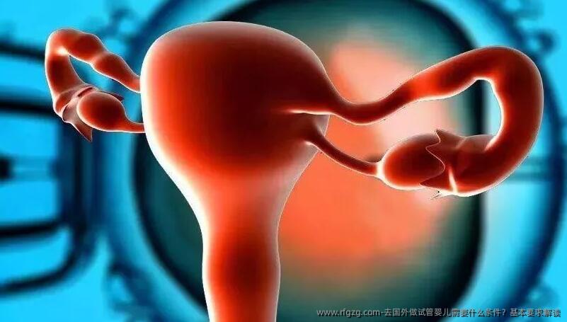 去国外做代孕需要什么条件？基本要求解读