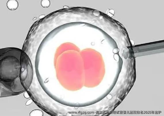 吉尔吉斯斯坦代孕医院排名2025年出炉