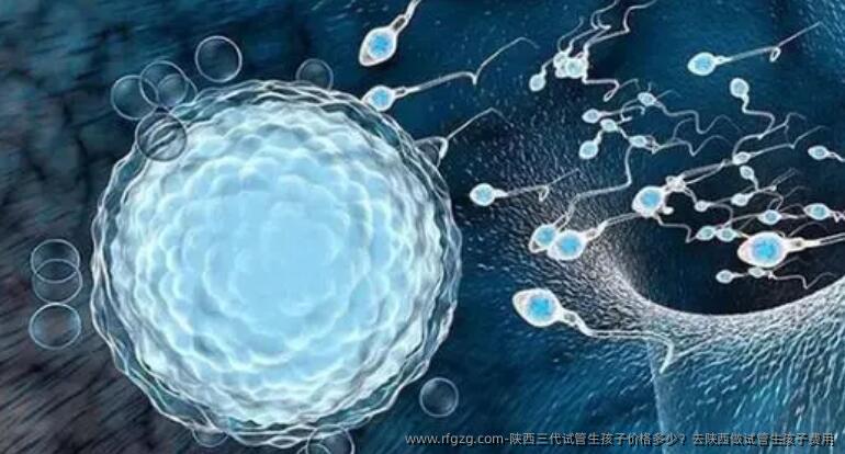 陕西三代试管生孩子价格多少?去陕西做试管生孩子费用