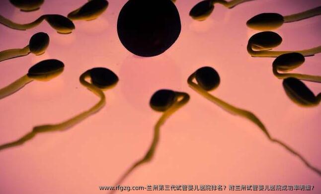 兰州第三代代孕医院排名？附兰州代孕医院成功率明细？