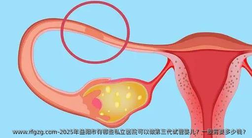 2025年益阳市有哪些私立医院可以做第三代代孕？一般需要多少钱？