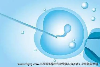 马来西亚第三代代孕多少钱?大概费用总结
