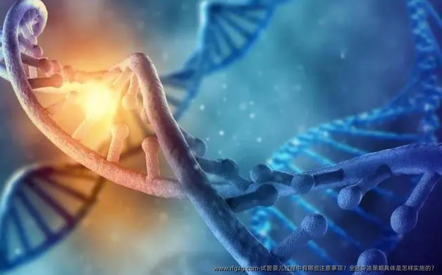 代孕过程中有哪些注意事项?全胚冷冻策略具体是怎样实施的?