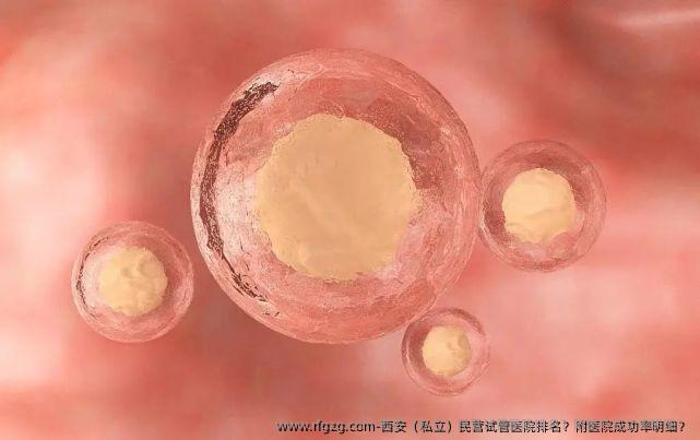 西安(私立)民营试管医院排名?附医院成功率明细?