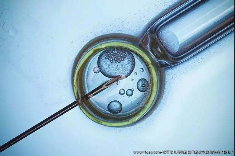 代孕移植后如何通过饮食加快身体恢复?