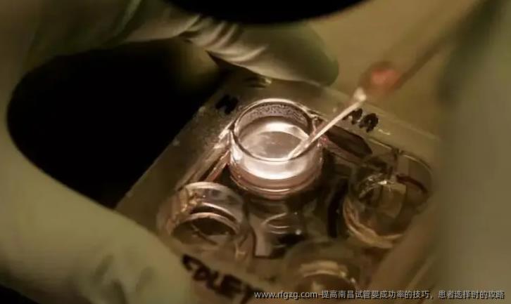 提高南昌试管婴成功率的技巧,患者选择时的攻略