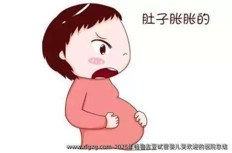 2025年格鲁吉亚代孕受欢迎的医院总结