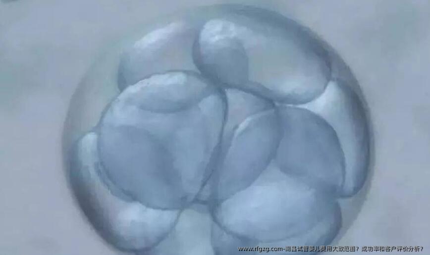 南昌代孕费用大致范围?成功率和客户评价分析?