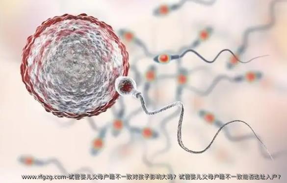 代孕父母户籍不一致对孩子影响大吗？代孕父母户籍不一致能否选址入户？