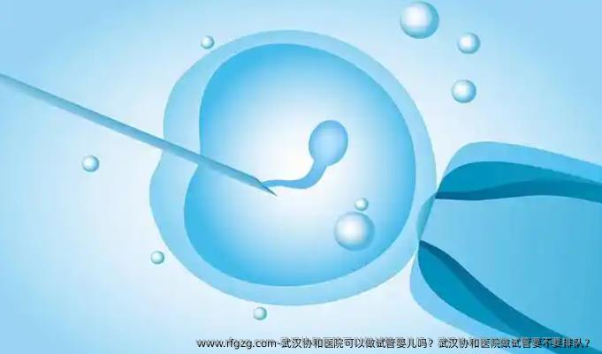 武汉协和医院可以做代孕吗?武汉协和医院做试管要不要排队?