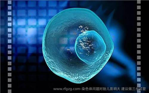染色体问题对胎儿影响大 建议做三代试管