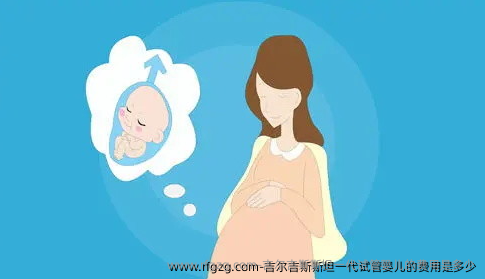 吉尔吉斯斯坦一代代孕的费用是多少