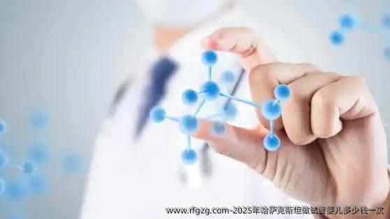 2025年哈萨克斯坦做代孕多少钱一次