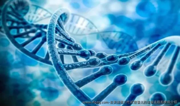 去美国做三代代孕的详细流程和费用介绍