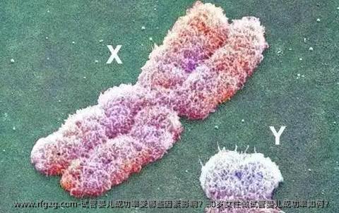 代孕成功率受哪些因素影响？30岁女性做代孕成功率如何？