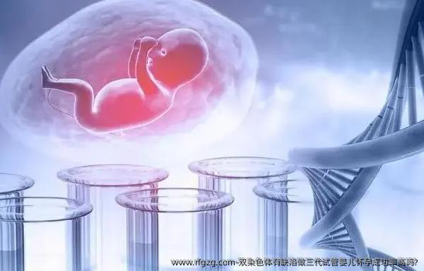 双染色体有缺陷做三代代孕怀孕成功率高吗?