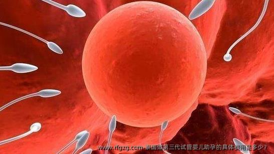 泰国做第三代代孕助孕的具体费用是多少？