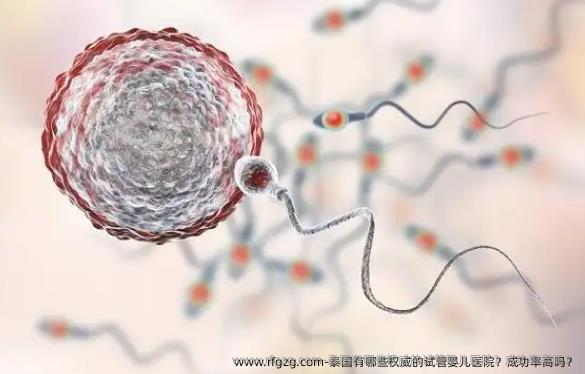 泰国有哪些优秀的代孕医院?成功率高吗?