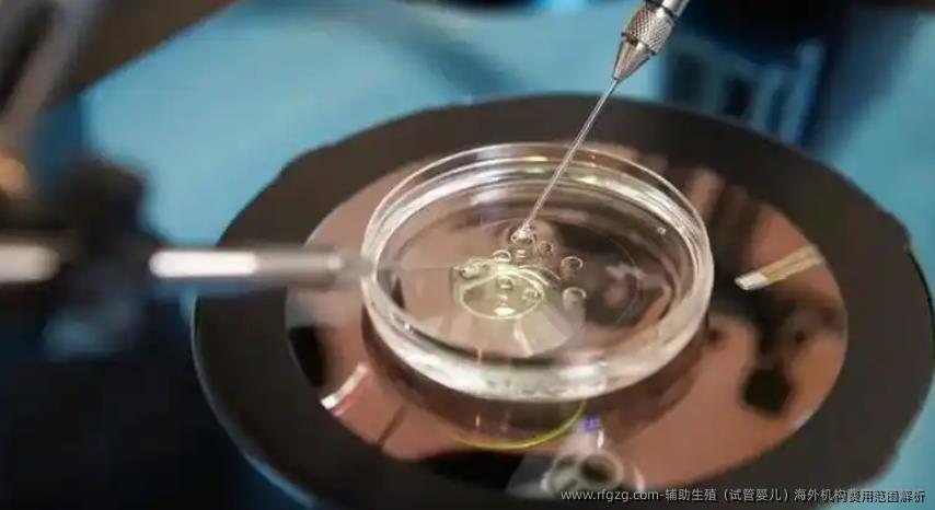 辅助生殖(代孕)海外机构费用范围解析