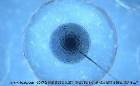 30岁女性做代孕成功率如何提升？胚胎质量的评估标准是什么?