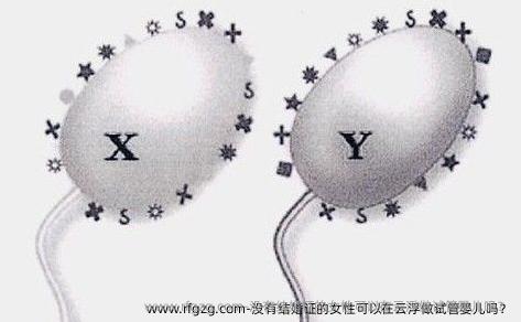 没有结婚证的女性可以在云浮做代孕吗?