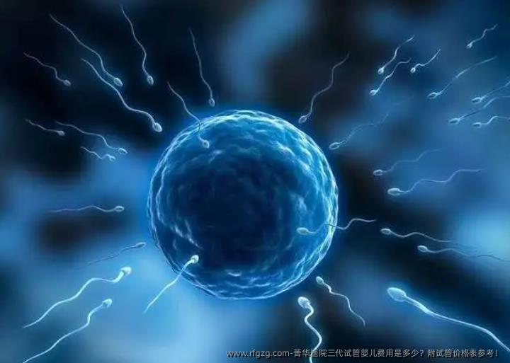 菁华医院三代代孕费用是多少？附试管价格表参考！