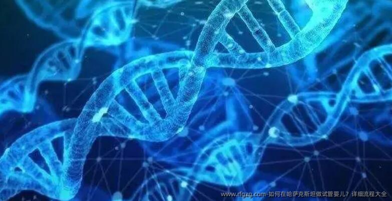 如何在哈萨克斯坦做代孕？详细流程大全
