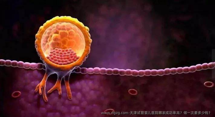 天津代孕医院哪家成功率高?做一次要多少钱?