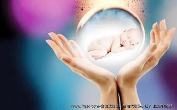 泰国代孕费用大概多少钱？比国内高吗？