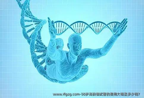 50岁高龄做试管的费用大概是多少钱?