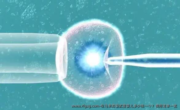 在马来西亚代孕多少钱一个?费用清单一览