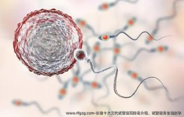 长春十大三代试管医院排名介绍,试管服务生殖助孕