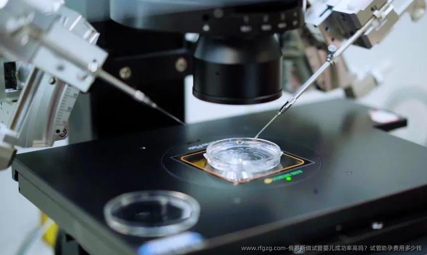 俄罗斯做代孕成功率高吗？试管助孕费用多少钱