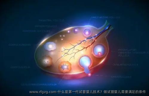 什么是第一代代孕技术？做代孕需要满足的条件