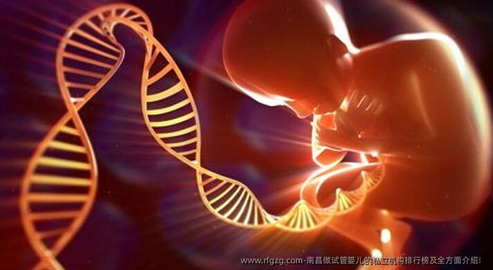 南昌做代孕的私立机构排行榜及全方面介绍!