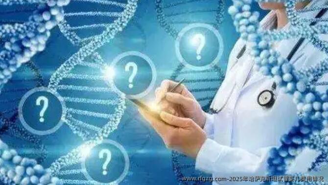 2025年哈萨克斯坦代孕费用情况