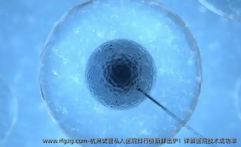 杭州试管私人医院排行榜新鲜出炉!详解医院技术成功率