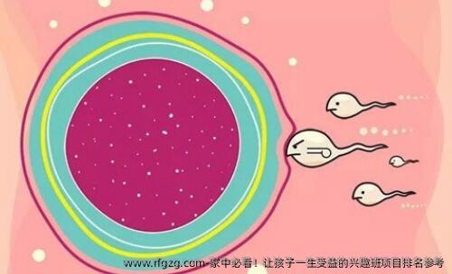 家中必看!让孩子一生受益的兴趣班项目排名参考