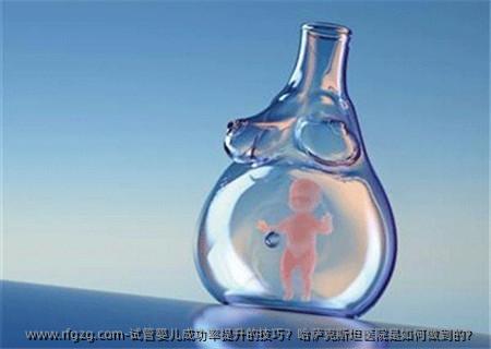 代孕成功率提升的技巧?哈萨克斯坦医院是如何做到的?
