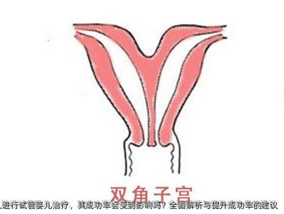 体重超标的人进行代孕治疗,其成功率会受到影响吗?全面解析与提升成功率的建议