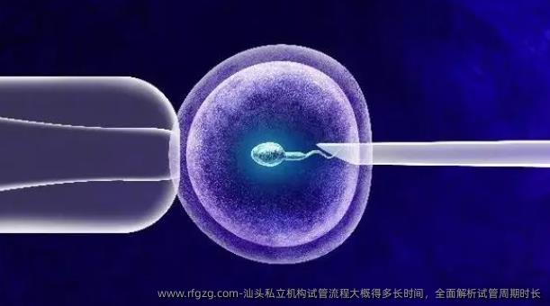 汕头私立机构试管流程大概得多长时间，全面解析试管周期时长