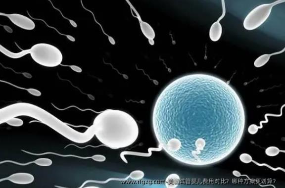 美国代孕费用对比?哪种方案更划算?